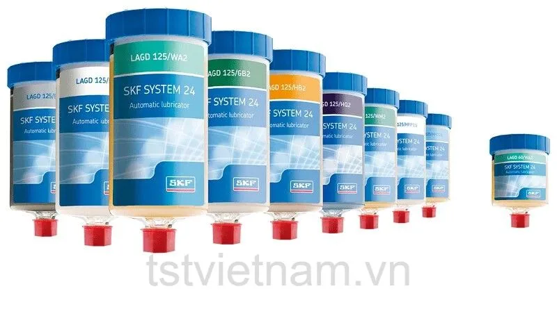 system24-2-1